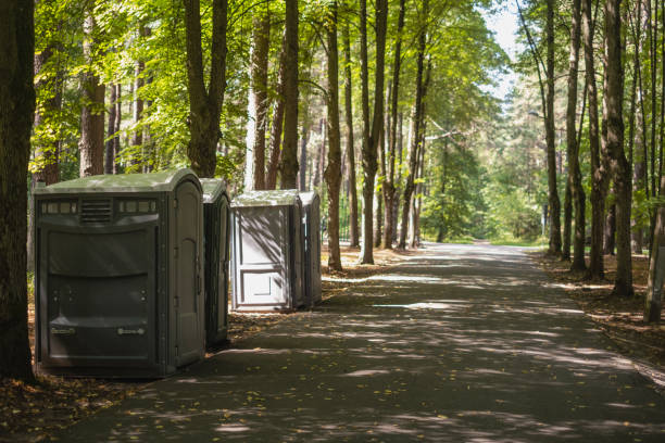 Best Affordable portable toilet rental  in Sebewaing, MI